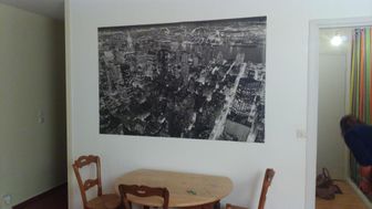 Photo n°3