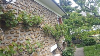 Photo n°2