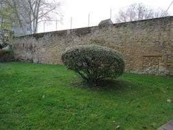 Photo n°5