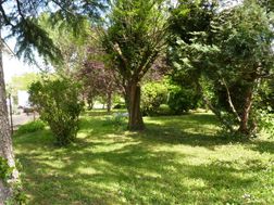 Photo n°1