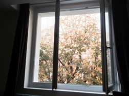 Photo n°1