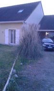 Photo n°1