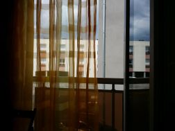 Photo n°8