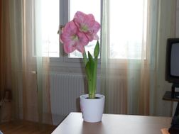 Photo n°3