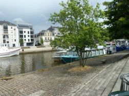 Photo n°6