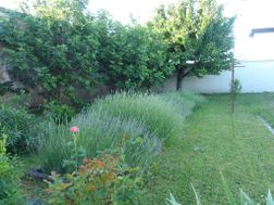 Photo n°8