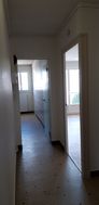 Photo n°6