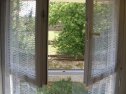 Photo n°4