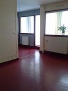 Photo n°6