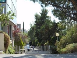 Photo n°6