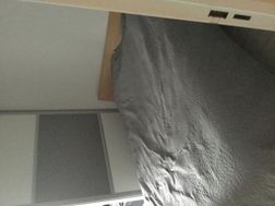 Photo n°4