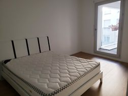 Photo n°4
