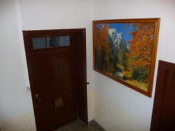 Photo n°4