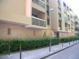 Photo n°8
