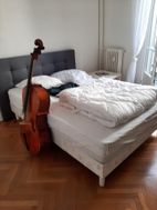 Photo n°2