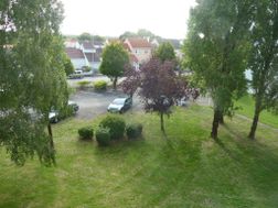 Photo n°8