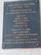Photo n°6
