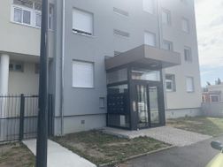 Photo n°2