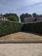 Photo n°6