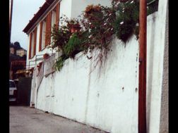 Photo n°6