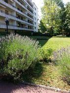 Photo n°4