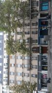 Photo n°1