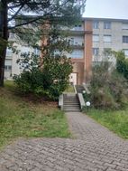 Photo n°6
