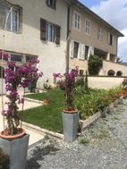 Photo n°1