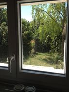 Photo n°3