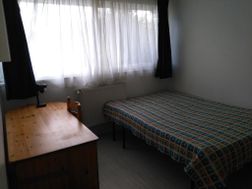 Photo n°2