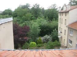Photo n°5