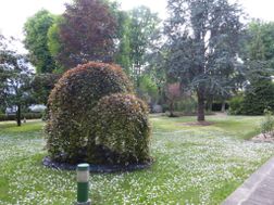 Photo n°1