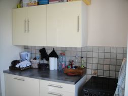 Photo n°4