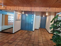 Photo n°4