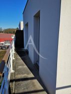 Photo n°4