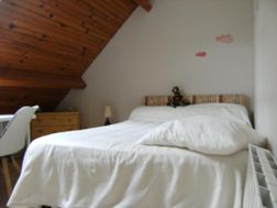 Photo n°1