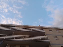 Photo n°3