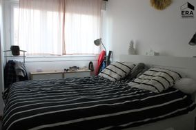 Photo n°4