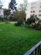 Photo n°1