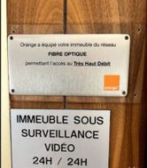 Photo n°6