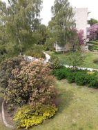 Photo n°5