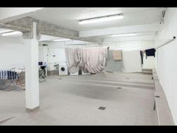 Photo n°8