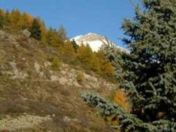 Photo n°4