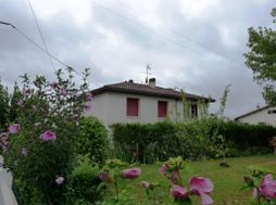 Photo n°1