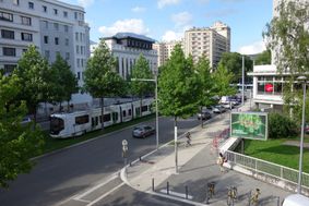 Photo n°5