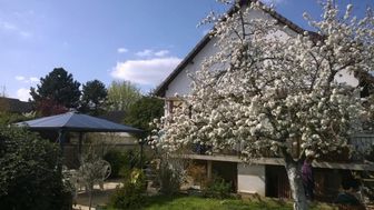 Photo n°4