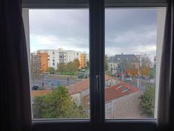 Photo n°11