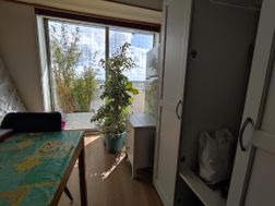 Photo n°6
