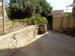 Photo n°8