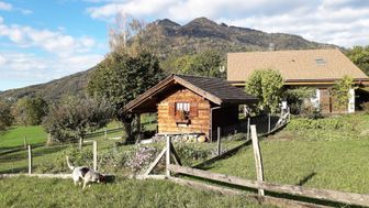 Photo n°1